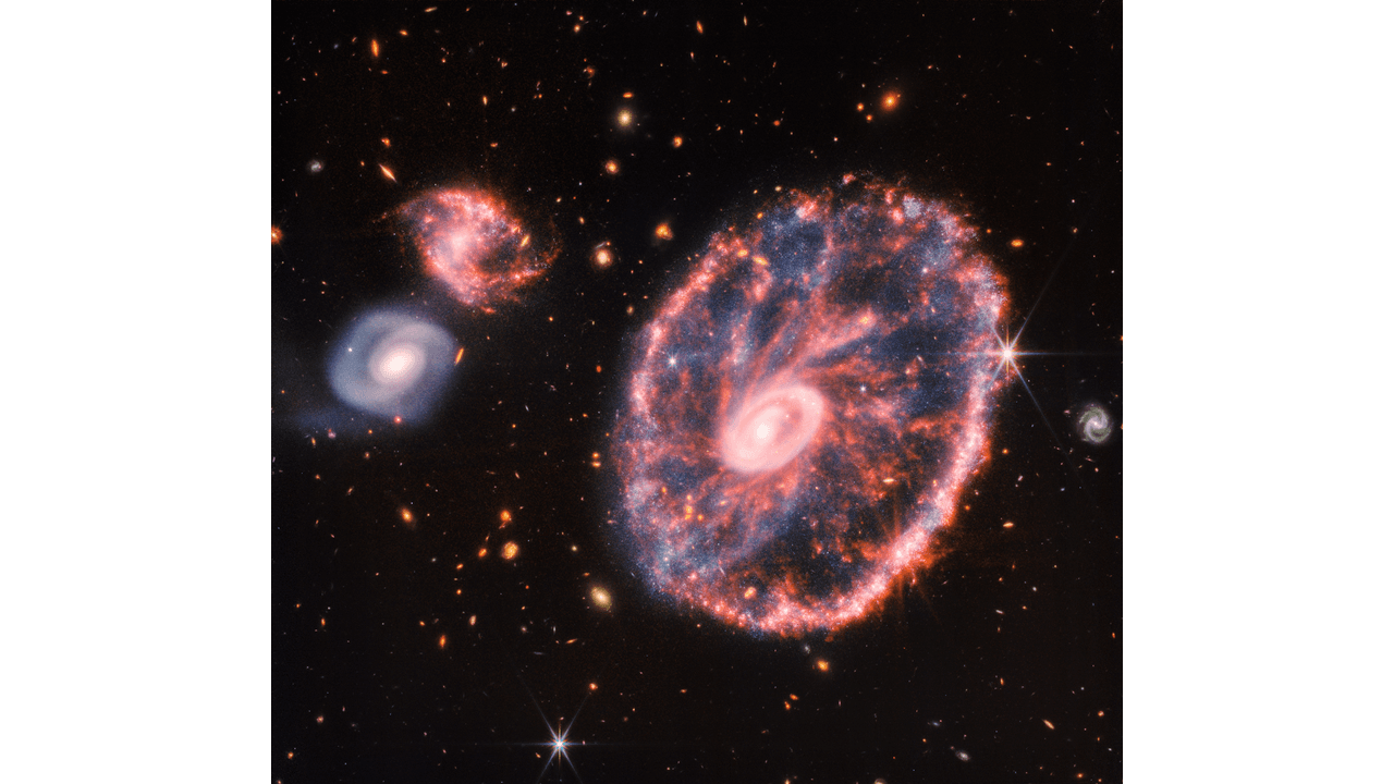 Cartwheel Galaxy (NIRCam and MIRI Composite Image)